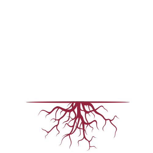 Radici Profonde